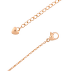 
Lobster clasp and extension chain detail on a white background